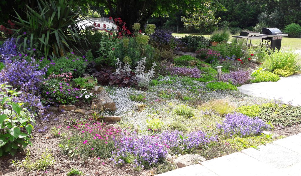 Massif de fleurs vivaces